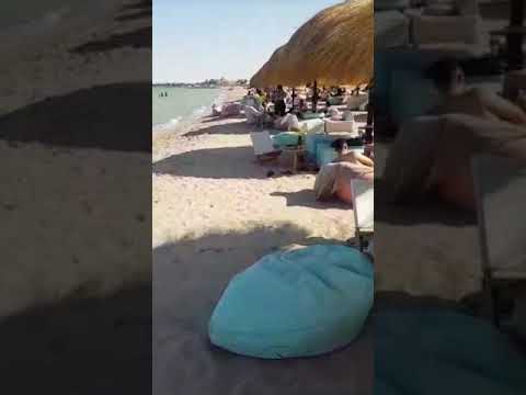 ZUNI  BEACH MANGROOVY EL GOUNA