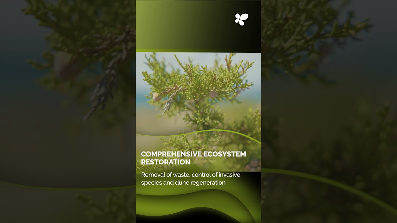 Palma Launches the Environmental Restoration of the Es Carnatge Coastline