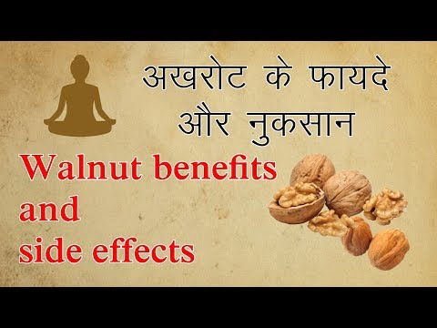 download lagu mp3 mp4 Walnut Benefits And Side Effects In Hindi, download lagu Walnut Benefits And Side Effects In Hindi gratis, unduh video klip Walnut Benefits And Side Effects In Hindi