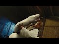 The White Snake Legend