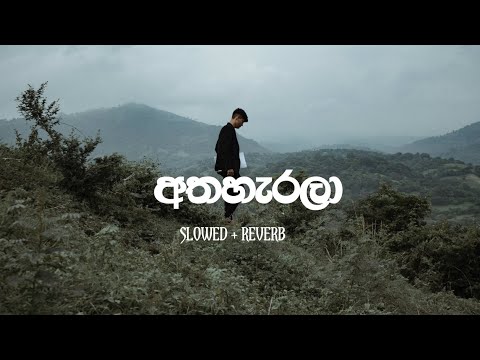 Athaharala Slowed + Reverb Ashan Fernando Song අතහැරලා Ashan Fernando Slowed
