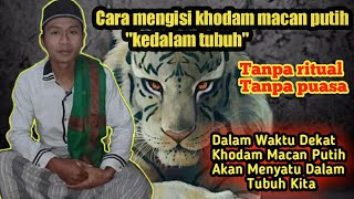 Download lagu How to Attune the White Tiger Khodam Into Your Body Without Rituals or Fasting || Easy and Fast mp3