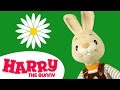 Harry S Daisy Flowers Learning New Words For Kids Fun Time For Kids Harry The Bunny