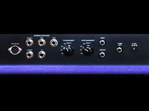 Driftwood Amplifiers - Purple Nightmare