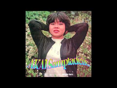 Hidenobu Ito - Pelican