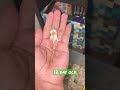 12 Day Old Baby Hamsters Shorts Pets