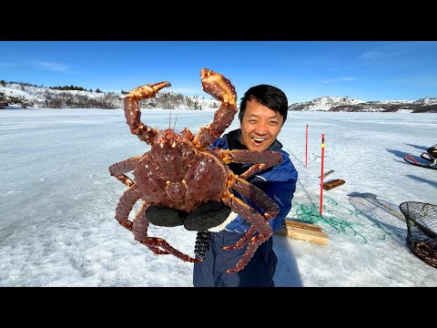 ALL YOU CAN EAT ARCTIC KING CRAB Safari in Norway! Catch, Cook and FEAST on the Fjord