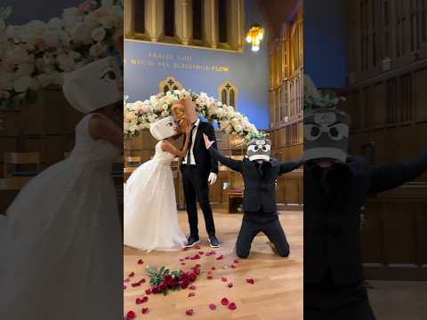 BALLERINA CAPPUCCINA REJECTS CAPPUCCINO ASSASSINO!