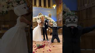 BALLERINA CAPPUCCINA REJECTS CAPPUCCINO ASSASSINO!