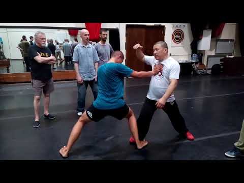 Tai Chi Push Hands Essence explained by Master Chen Yingjun