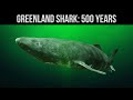 10 Animal Species That Can Live To Be Older Than You