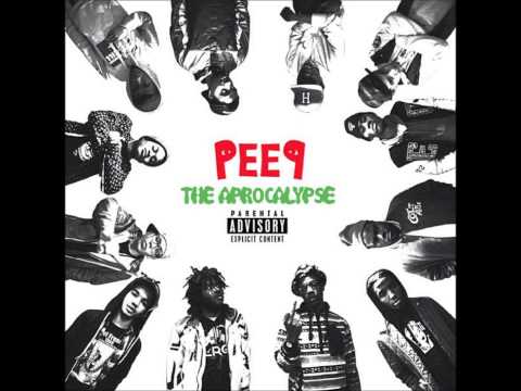 Pro Era - Vinyls