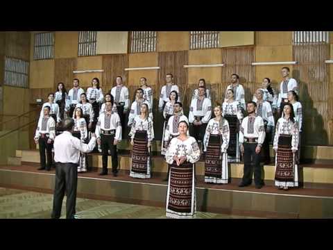 218.Corul Moldova-Scrisoarea mamei(Gh.Cretu-G.Furdui),aranj.,dir.-V.Budilevschi, soloL.Romanescu