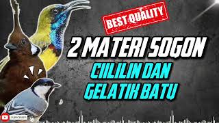 Download lagu MASTERAN SOGON | 2 MATERI CILILIN DAN GELATIK BATU #sogon #sogongacor #sogokotong #sogokontonggacor mp3