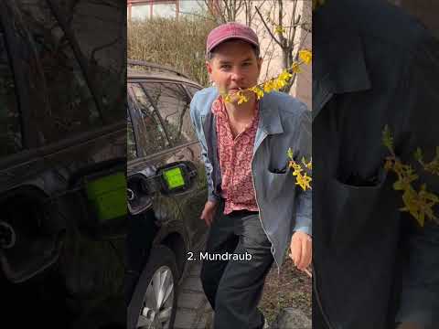 Drei Dinge #3