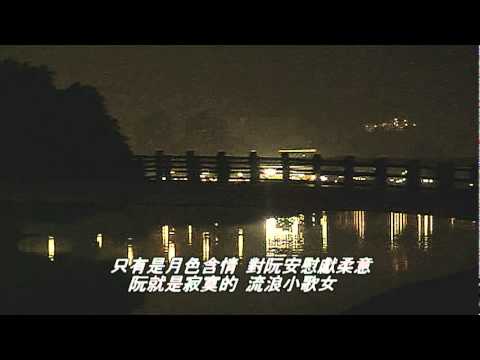 台語陳年老歌 流浪小歌女 陳芬蘭-演唱