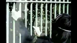 The Tear Garden - Six of One