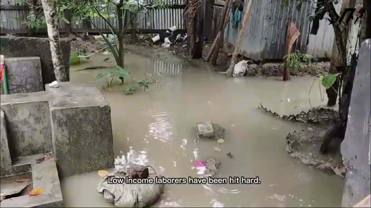 Heavy Rain Causes Waterlogging in Kalapara