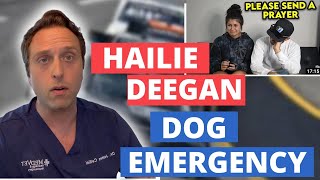 Vet Reacts - Hailie Deegan Describes Her Dog's Seizure Emergency
