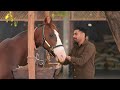 New Punjabi Movie 2023 Full Punjabi Movie 2023 Latest Punjabi Movie