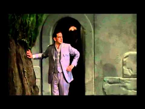 Why is the opera Don Pasquale still relevant today?