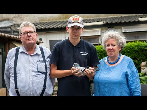 National winners ZLU 2021: Agen Yearlings - Winkens-Rothenburg, Itteren