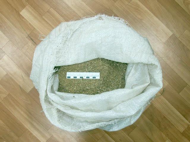 2 кг конопли изъяли у ангарчанина