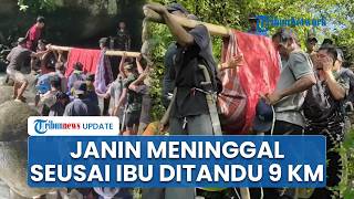 Kisah Pilu Ibu Hamil di Polman Sulbar, Ditandu 9 Km Akibat Jalan Rusak hingga Janin Meninggal