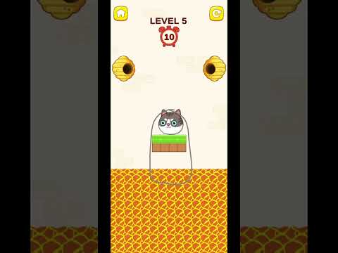 Save My Cat Draw Puzzle