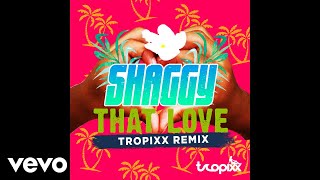 Shaggy - That Love (Tropixx Remix) [Audio]