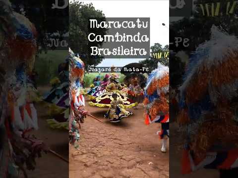 MARACATU RURAL Cambinda Brasileira!  #maracatu #maracaturural #nazaredamata #pernambuco