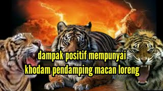 Download lagu Manfaat memiliki khodam pendamping harimau loreng mp3 Download lagu Manfaat memiliki khodam pendamping harimau loreng mp3