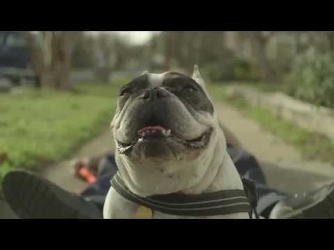 Jason Schwartzman in 7 Chinese Brothers Extra: 'New Low'