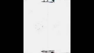 Nine Horses - Atom And Cell