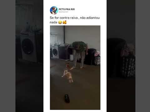 Se for contra raiva , não adiantou nada ❤️🤣