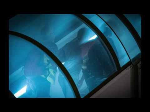 Das sind die dpa-Bilder des Jahres 2019