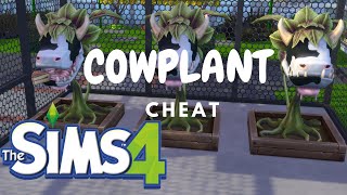 HOW TO GET A COWPLANT ( HACK ) | THE SIMS 4