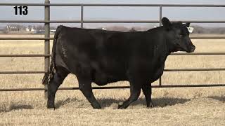 Download lagu Lot 113 mp3