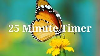 🦋 25 Minute Butterfly Timer 🦋 (no music)