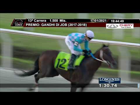 210117 c13 PALTOCAYO