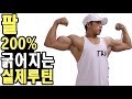 [NEW]멸치가 팔 굵어지기 위해 3년간 사용한 실제루틴! 200%왕팔가능!