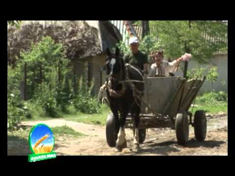 ANA ISOPESCU la televiziunea NTV - aprilie 2011