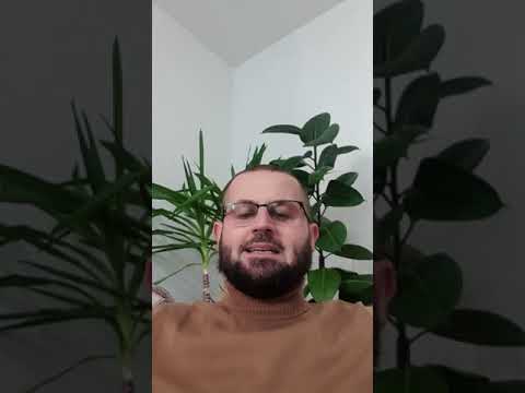 2106. Një porosi Profetike për ty! (4) Hoxhë Suad Shabani