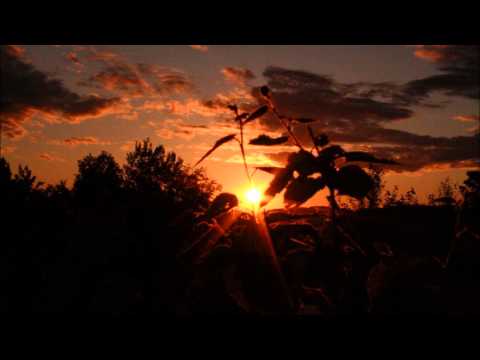 Diego Azocar - Coming Back To Life (Original Mix)