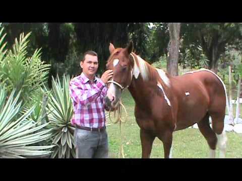 Amor Inmensurable Sami Kasem