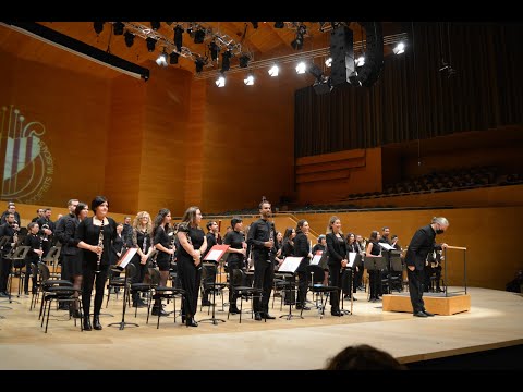 Video 15