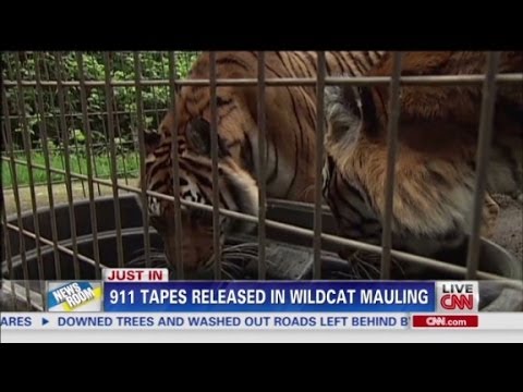 911 tapes released in wildcat mauling