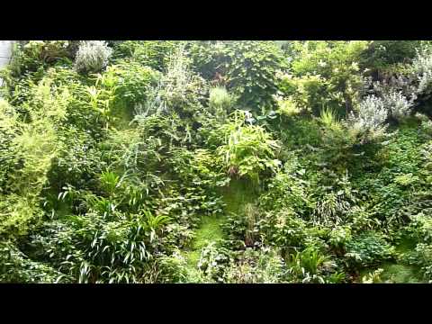 Rendez-vous@ Paris 4ème - France "Mur Végétal par Patrick Blanc"