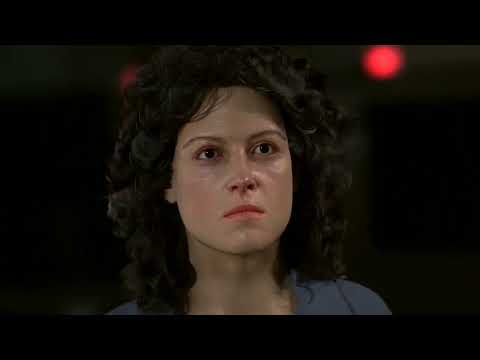 WHERE IS THE PAST ? (FUTURE)