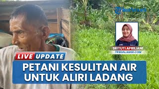 Petani di Jambi Keluhkan Kesulitan Air untuk Aliri Ladang, Sumur Mulai Kering Akibat Musim Kemarau